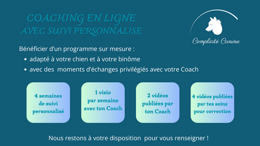 Coaching en ligne