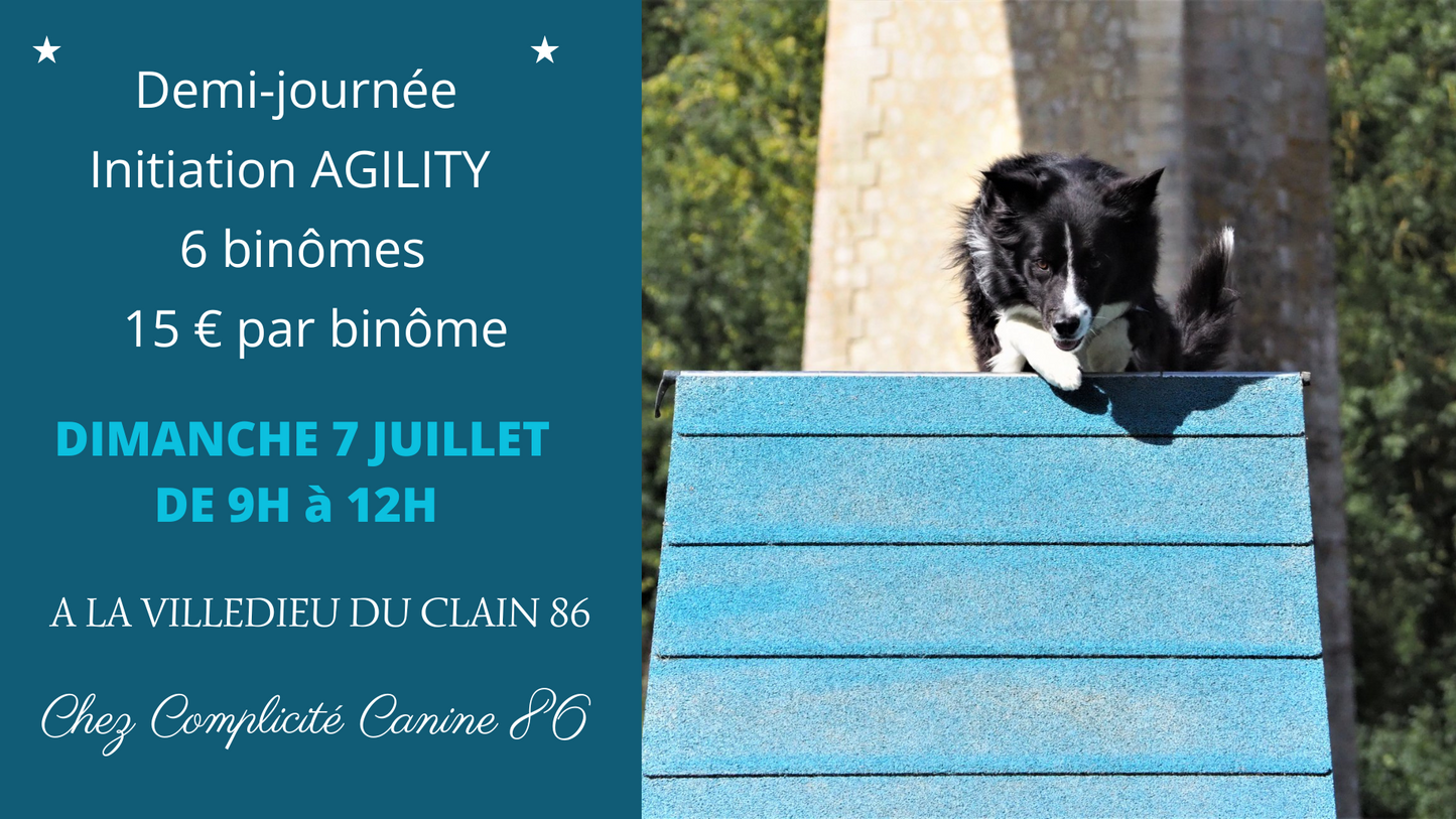 Demi-Journée Initiation Agility