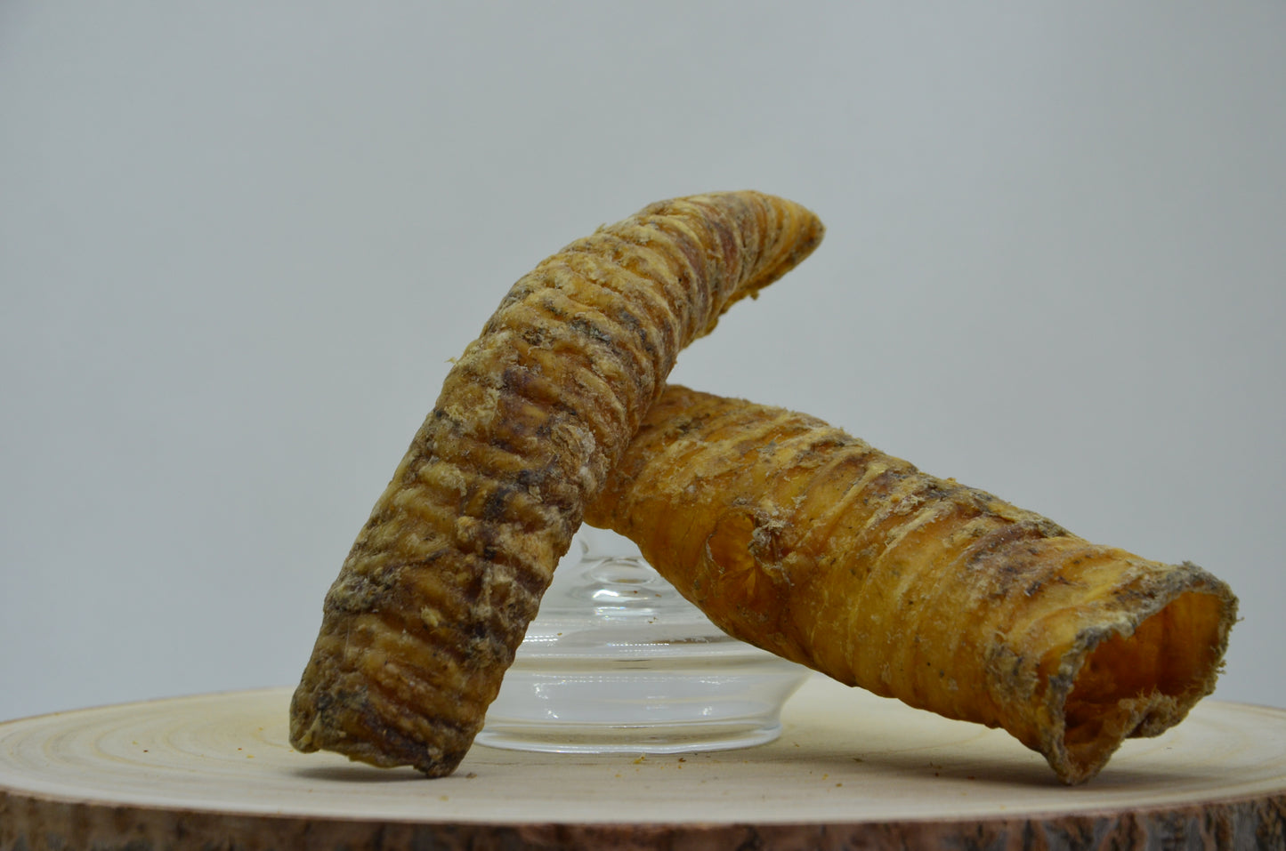 Trachée de Boeuf longue